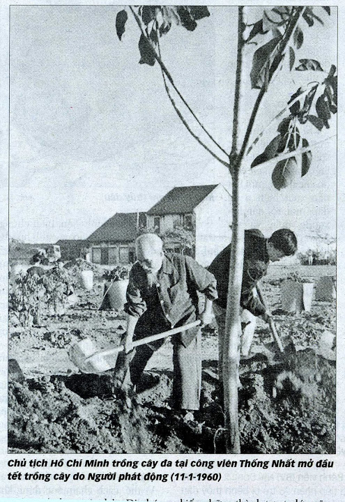 Bác Hồ trồng cây đa tại xã Vật Lại, Ba Vì, Hà Tây (nay là Hà Nội) ngày 16/02/1969