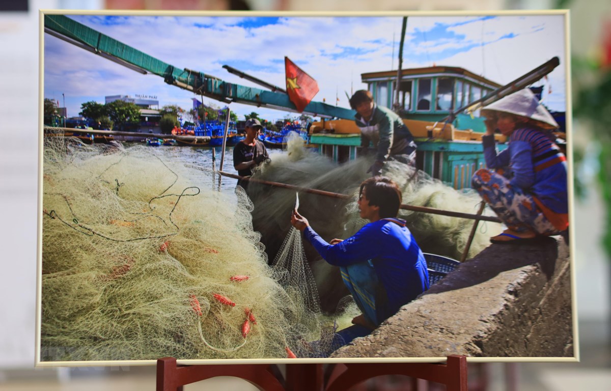 Hình ảnh biển đảo Việt Nam gây ấn tượng với người dân Nga > Đài …”><figcaption class=